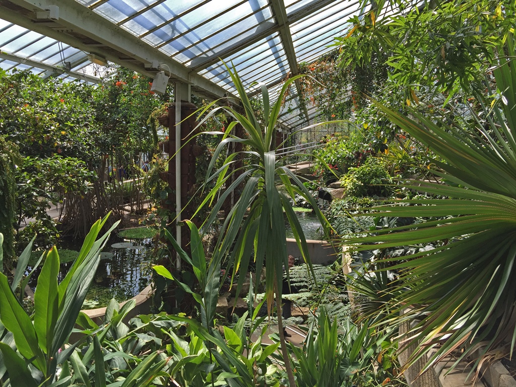 Inside the Tropical Garden